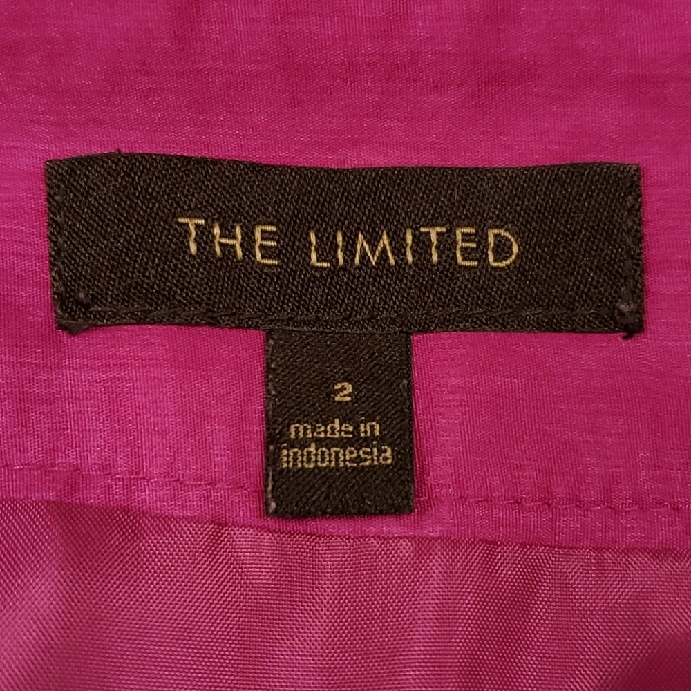 The Limited Fuchsia Pink Layered Mini Skirt Tiered Party Skirt Size 2 NWOT - Picture 6 of 9